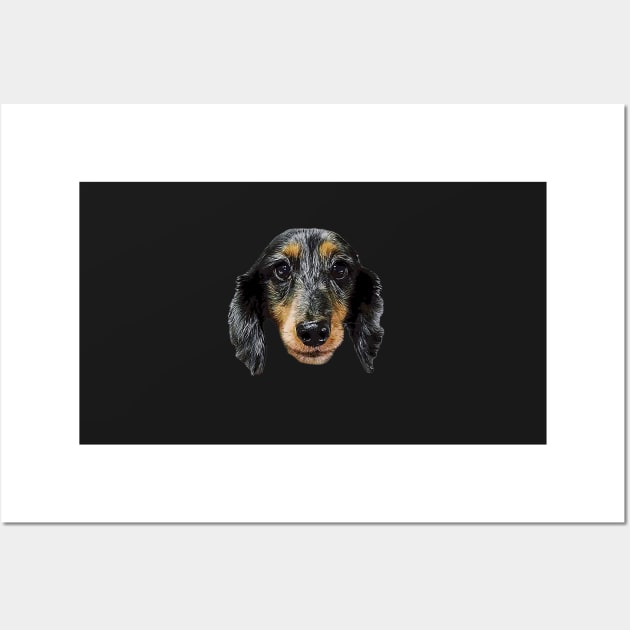 Dachshund Black Silver Dapple Puppy Dog Wall Art by ElegantCat